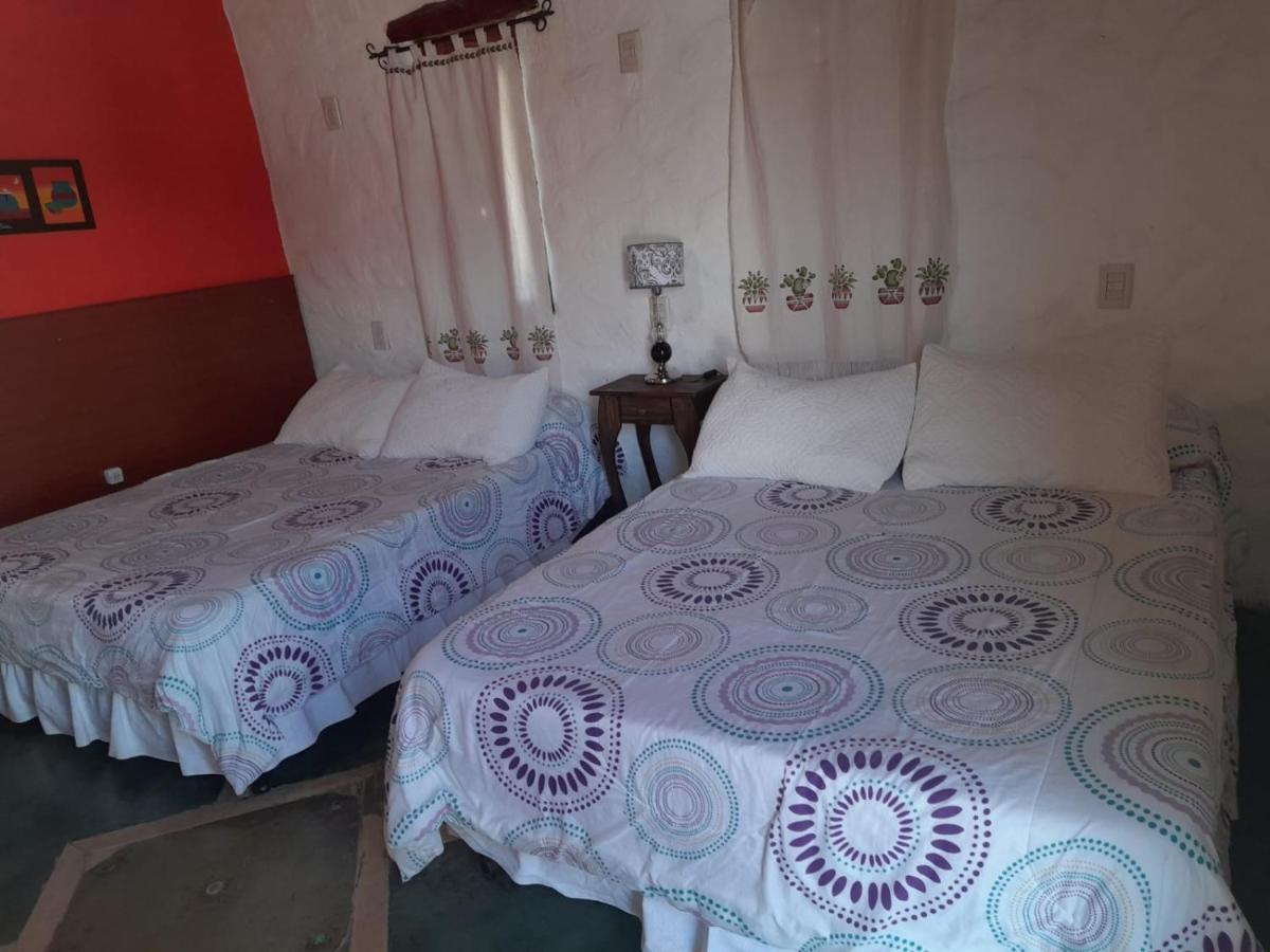 Hostal Andino - Adults Only 卡法亚特 外观 照片